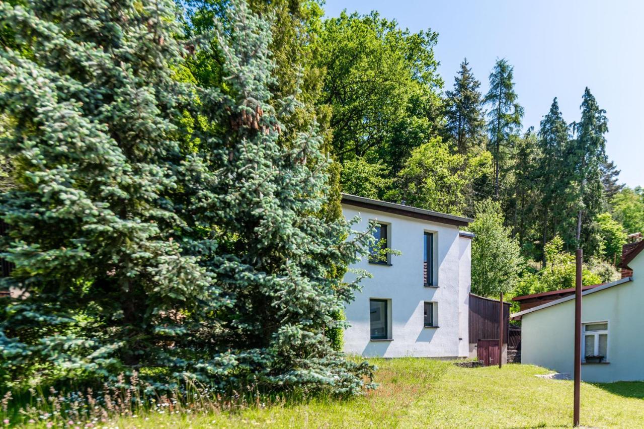 Вілла Haus Am Wald Бад-Шандау Екстер'єр фото