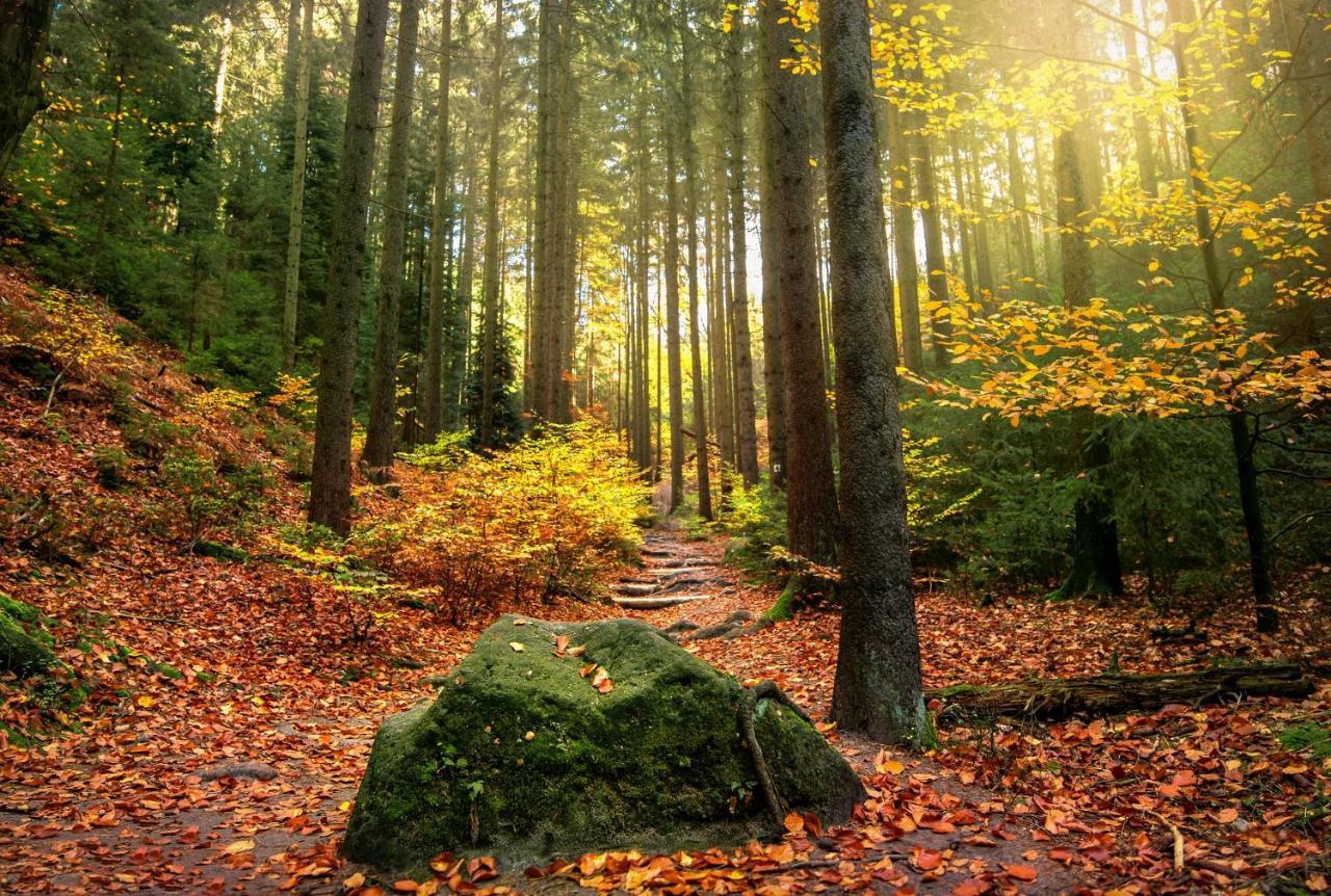 Вілла Haus Am Wald Бад-Шандау Екстер'єр фото
